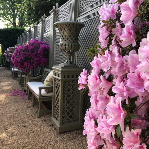 Spring is here!